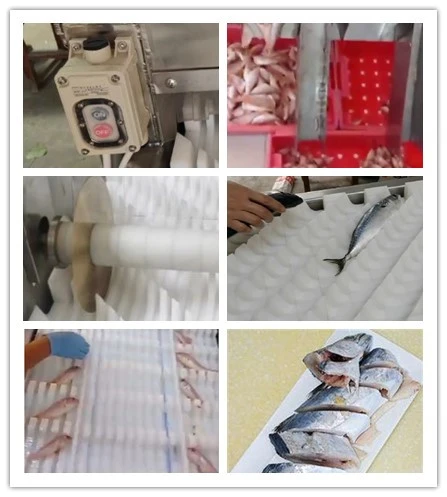 product-750-834 initpintu_